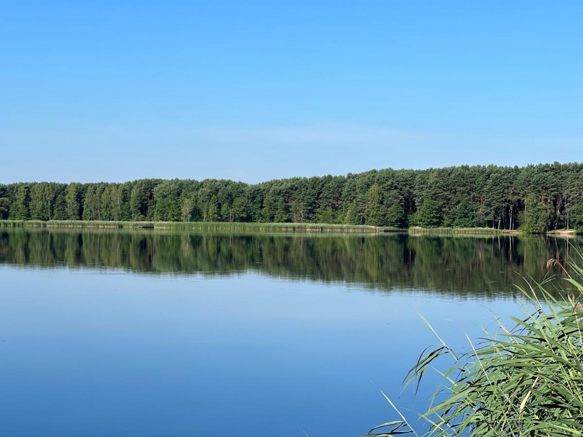 Family & Business Sauna Teznia No 8 Vip -lesny Nad Zalewem Cedzyna, Unikat - 5 Bedroom With Private Sauna, Jacuzzi, Spectacular View Terrace, Parking, Catering Options - Exclusive New! Apartamento *