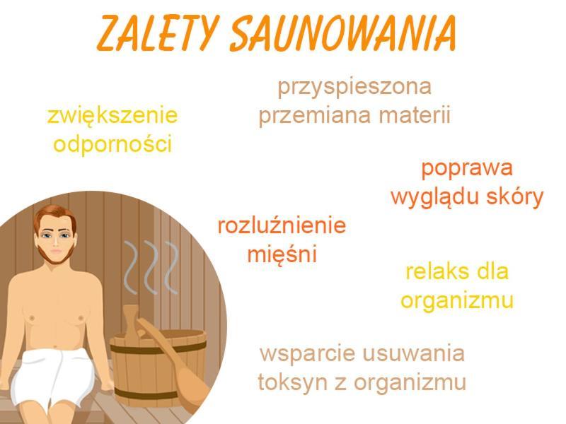 Apartment Family Sauna Teznia Apartments: Vip Retreat With And Views Kielce